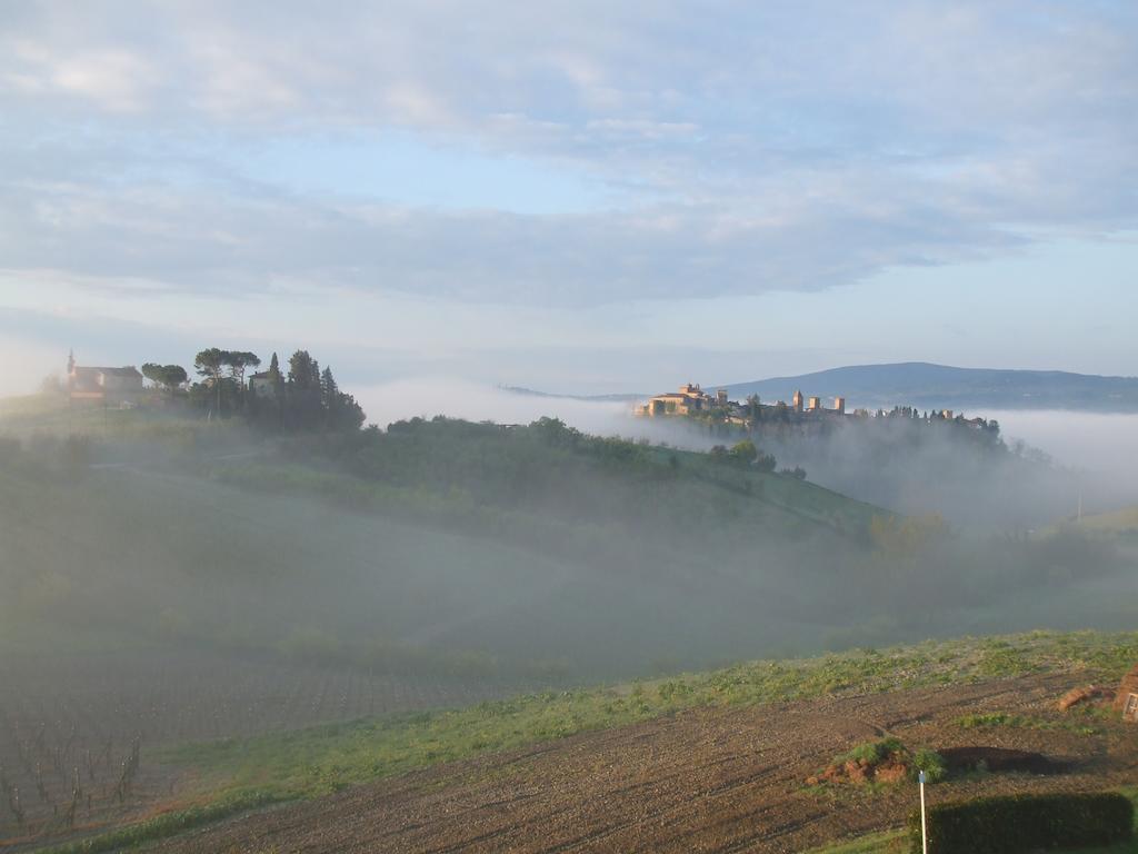 Вилла Agriturismo Il Torrione Чертальдо Экстерьер фото