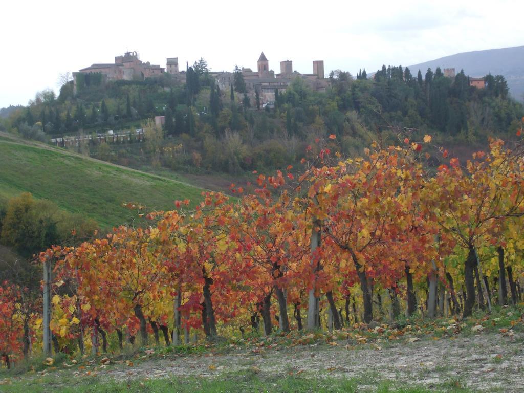 Вилла Agriturismo Il Torrione Чертальдо Экстерьер фото