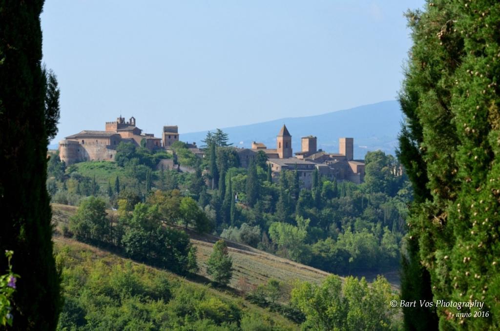 Вилла Agriturismo Il Torrione Чертальдо Экстерьер фото