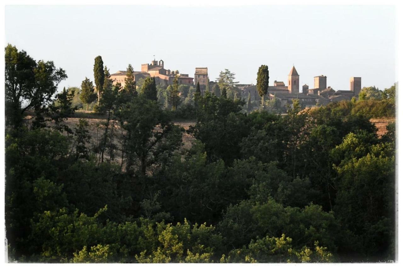 Вилла Agriturismo Il Torrione Чертальдо Экстерьер фото